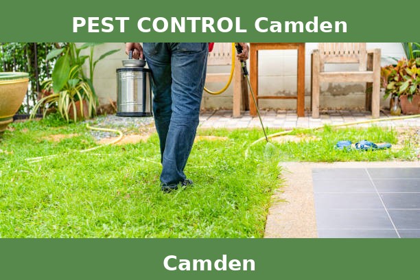 PEST CONTROL Camden